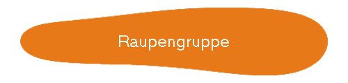 Raupengruppe