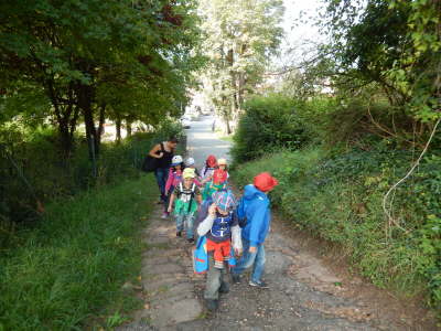 DSCN0337