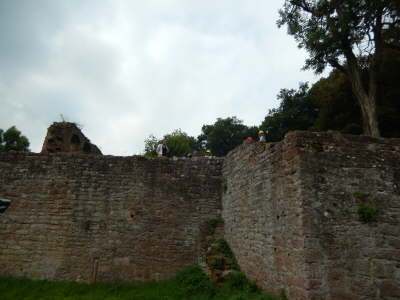DSCN0385